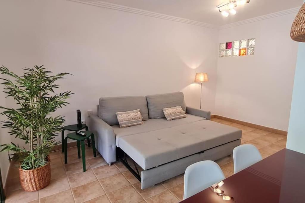 Jardin Del Teide Apartment Puerto de la Cruz  Ngoại thất bức ảnh